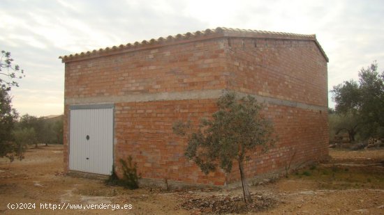 Suelo rústico en venta  en Camarles - Tarragona