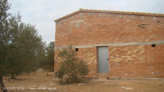 Suelo rústico en venta  en Camarles - Tarragona