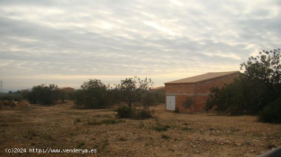 Suelo rústico en venta  en Camarles - Tarragona