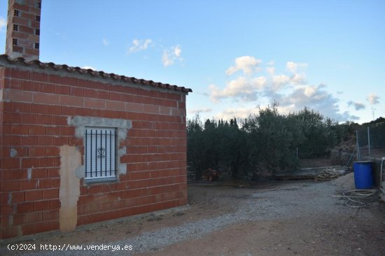 Suelo rústico en venta  en Freginals - Tarragona