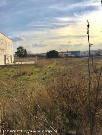 Otro en alquiler  en Franqueses del Vallès, Les - Barcelona