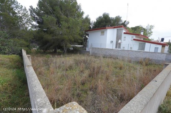 Suelo urbano en venta  en Alcanar Platja - Tarragona