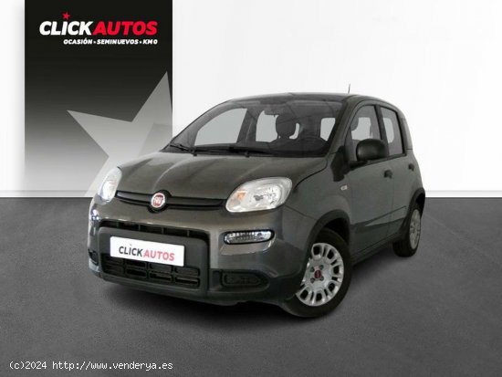  Fiat Panda 1.0 70CV Hybrid - Riba-roja del turia 