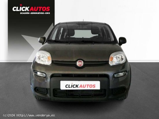 Fiat Panda 1.0 70CV Hybrid - Riba-roja del turia