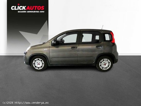 Fiat Panda 1.0 70CV Hybrid - Riba-roja del turia