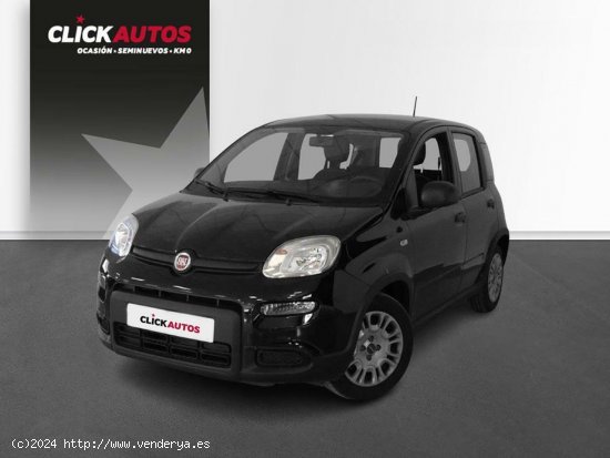  Fiat Panda 1.0 70CV Hybrid - Elche 