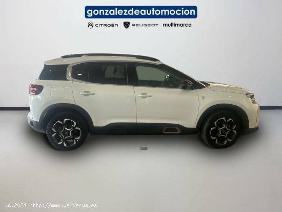 Citroën C5 Aircross  PureTech 96kW (130CV) S&S EAT8 C Series - Úbeda