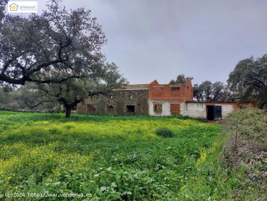  Finca con 6 hectáreas con construcciones antiguas en El Real de La Jara - SEVILLA 