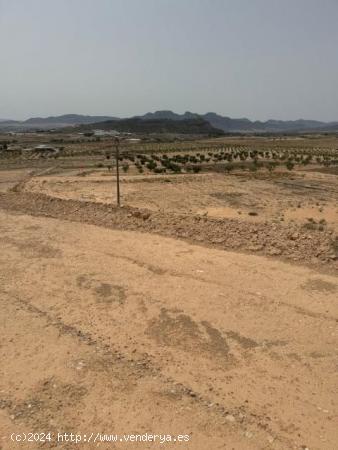 Parcela con excelentes vistas en Jumilla - MURCIA