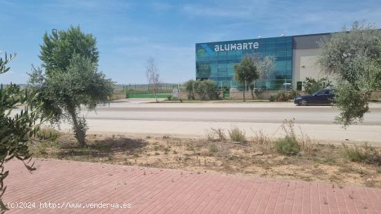 TERRENO EN VENTA EN MUEL, ZARAGOZA - ZARAGOZA