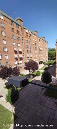 PISO VENTA ZONA HUERTA DEL REY DE VALLADOLID - VALLADOLID