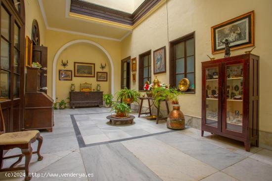  CASA PALACIO EN PLENO CENTRO - CADIZ 