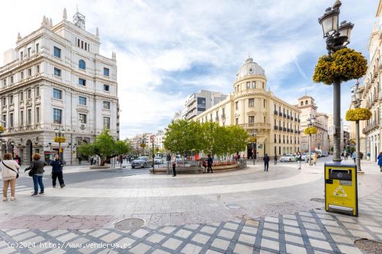 SE VENDE LICENCIA DE ESTANCO EN LA MEJOR CALLE COMERCIAL DE GRANADA!!!!! - GRANADA