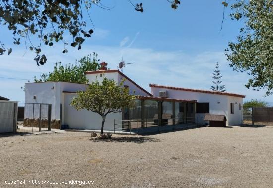 CASA RURAL CON TIERRA DE CULTIVO DE ARROZ EN DELTEBRE - TARRAGONA