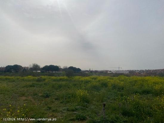 Terreno urbano en Cabanillas del Campo, Guadalajara. - GUADALAJARA