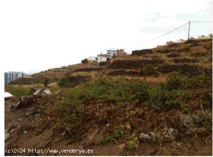 Terreno urbano en venta en El Toscal (Los Realejos) - SANTA CRUZ DE TENERIFE