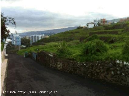 Terreno urbano en venta en Los Realejos - SANTA CRUZ DE TENERIFE