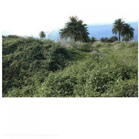 Finca en venta en La Corujera - SANTA CRUZ DE TENERIFE