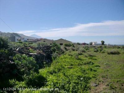 Solar en venta en Tejina - La Laguna - SANTA CRUZ DE TENERIFE