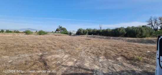 ++Terreno Rústico en Molina de Segura zona El Llano de Molina, 8326 m - MURCIA