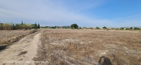 ++Terreno Rústico en Molina de Segura zona El Llano de Molina, 8326 m - MURCIA