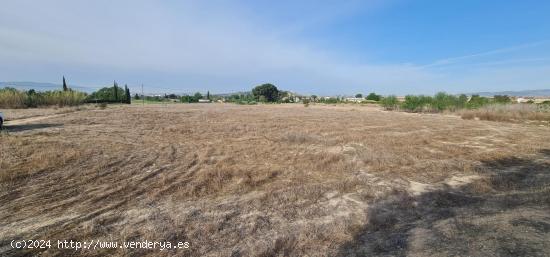 ++Terreno Rústico en Molina de Segura zona El Llano de Molina, 8326 m - MURCIA