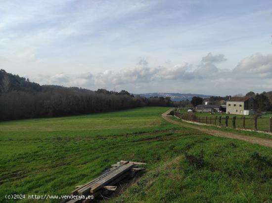  SE VENDE FINCA FORESTAL - A CORUÑA 