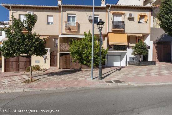 aDOSADO EN cAJAR - GRANADA