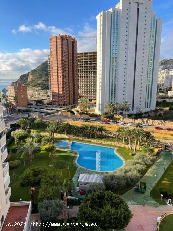  Excelente piso en la playa - ALICANTE 