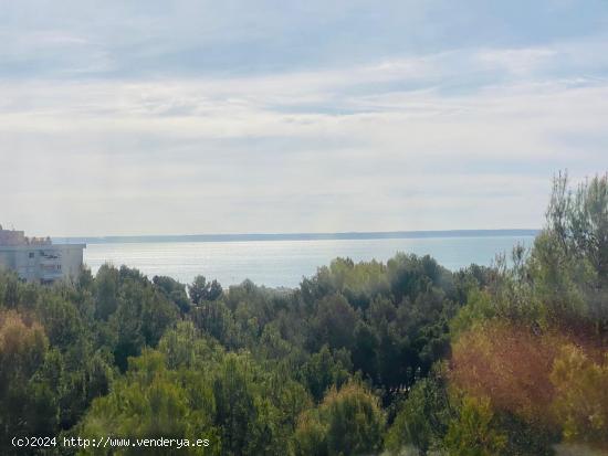 Recien reformado apartamento con Vistas al Mar en Cas Catala - BALEARES