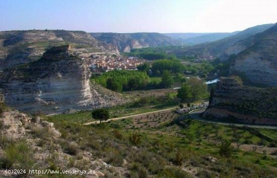  LOTE de Parcelas rústicas en venta en La Recueja, Albacete - ALBACETE 