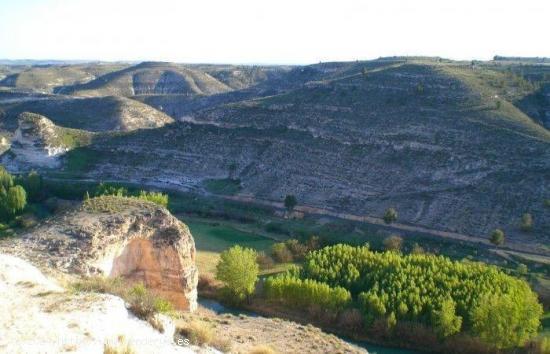 LOTE de Parcelas rústicas en venta en La Recueja, Albacete - ALBACETE