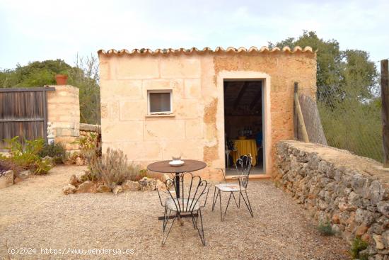 Finca rústica con caseta de campo en Llubi - BALEARES