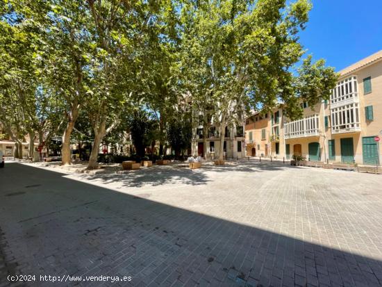 Propiedad Singular en el centro Histórico de Palma - BALEARES