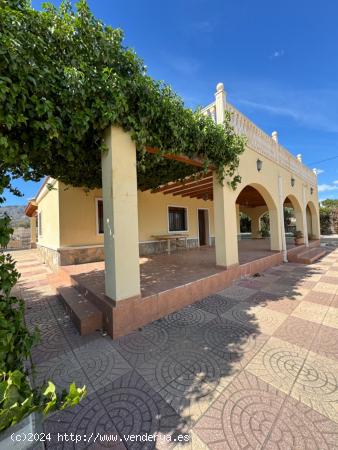 FINCA EN ALQUILER PARA TODO EL AÑO EN CREVILLENTE - ALICANTE