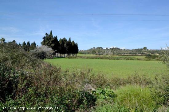 La casa de tus sueños ya es una realidad Solar + Proyecto en Muro - BALEARES