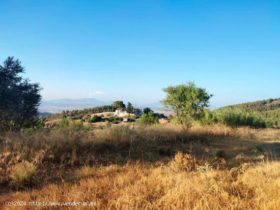 COMPLEJO FINCA RURAL DE 267 HECTÁREAS CON 6 VIVIENDAS Y PISCINAS - MURCIA