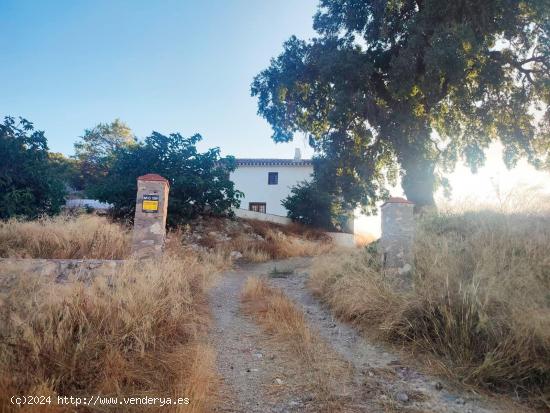 COMPLEJO FINCA RURAL DE 267 HECTÁREAS CON 6 VIVIENDAS Y PISCINAS - MURCIA