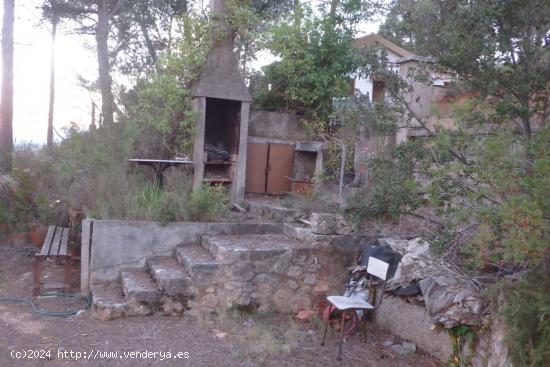 Parcela en Pinedes de Castellnou - BARCELONA