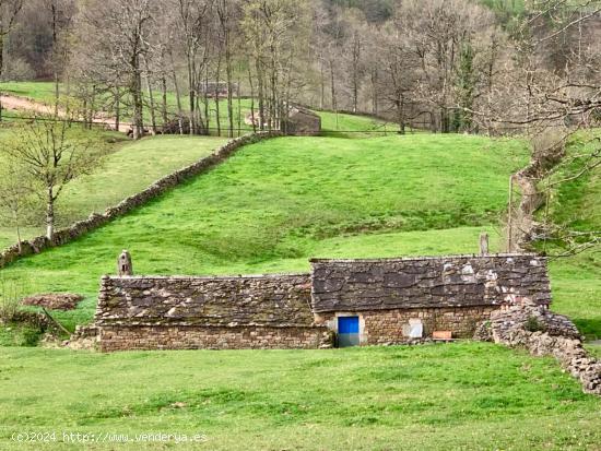 Cabaña en San Pedro del Romeral - CANTABRIA