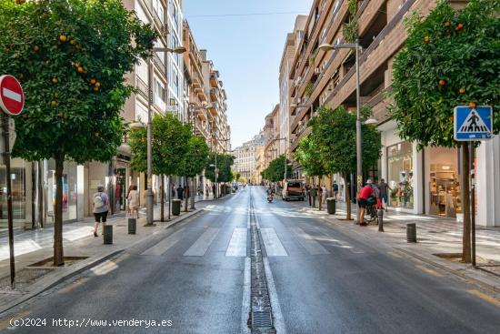  Estupendo piso dividido en dos situado en Calle Recogidas - GRANADA 