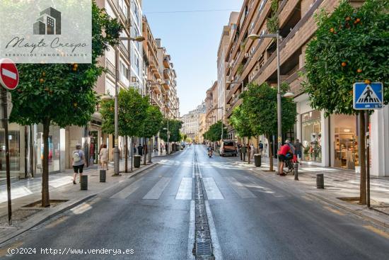  Estupendo piso dividido en dos situado en Calle Recogidas - GRANADA 