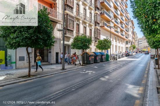 Estupendo piso dividido en dos situado en Calle Recogidas - GRANADA