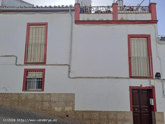 Casa Olvera Cádiz - CADIZ