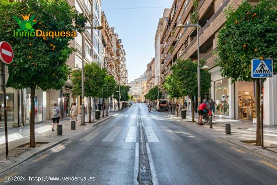 Estupendo piso dividido en dos situado en Calle Recogidas - GRANADA