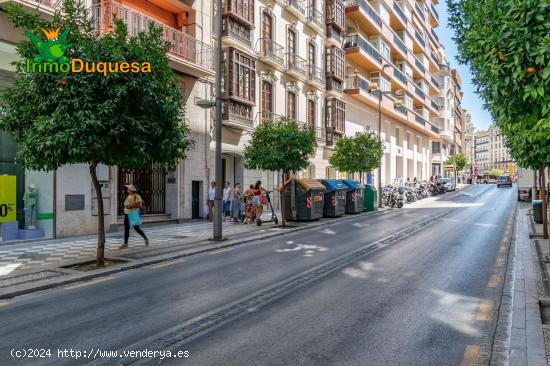 Estupendo piso dividido en dos situado en Calle Recogidas - GRANADA