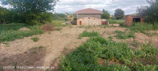 Gran parcela en urbanización Valdetorres de Jarama. - MADRID