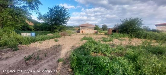 Gran parcela en urbanización Valdetorres de Jarama. - MADRID