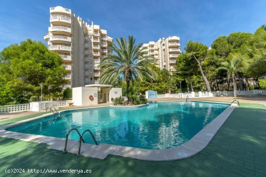 APARTAMENTO DE 1 DORMITORIOS EN DEHESA DE CAMPO AMOR ( ORIHUELA COSTA) ALICANTE - ALICANTE