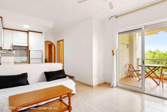 APARTAMENTO DE 1 DORMITORIOS EN DEHESA DE CAMPO AMOR ( ORIHUELA COSTA) ALICANTE - ALICANTE